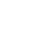 Tesla Icon